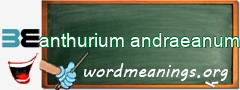 WordMeaning blackboard for anthurium andraeanum